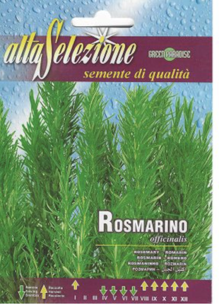 Rosemary &#8220;Rosmarino Officinalis&#8221; Seeds by Alta Selezione