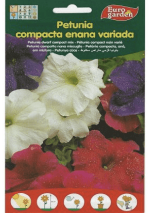 Petunia Dwarf Compact Mix Premium Quality Seeds by EuroGarden
