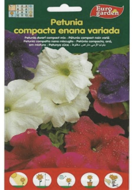 Petunia Dwarf Compact Mix Premium Quality Seeds by EuroGarden