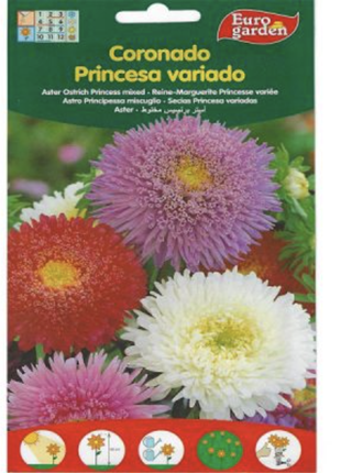 Aster Ostrich Princess Mix Premium Quality Seeds by EuroGarden