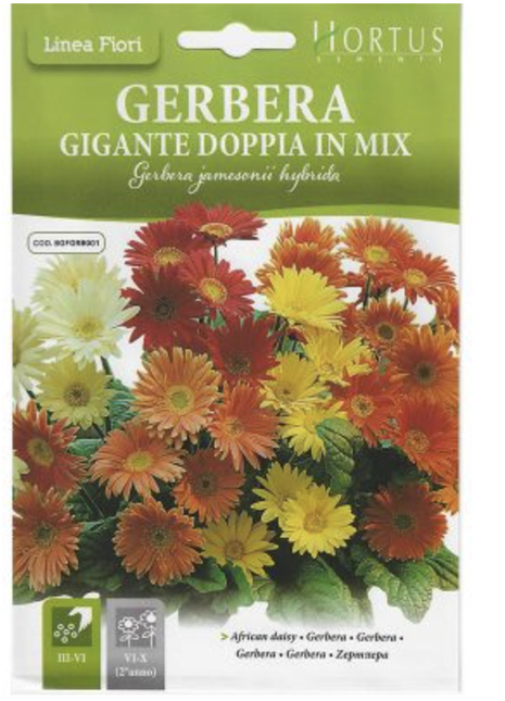 African Daisy &#8220;Gerbera Gigante Doppia In Mix&#8221; Premium Quality Seeds by Hortus Sementi