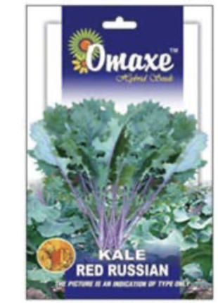 Kale Red Russian Hybrid Seeds by Omaxe