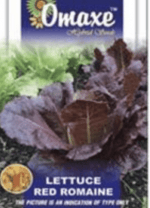 Lettuce Red Romaine Hybrid Seeds by Omaxe
