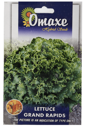Lettuce Grand Rapids Hybrid Seeds by Omaxe