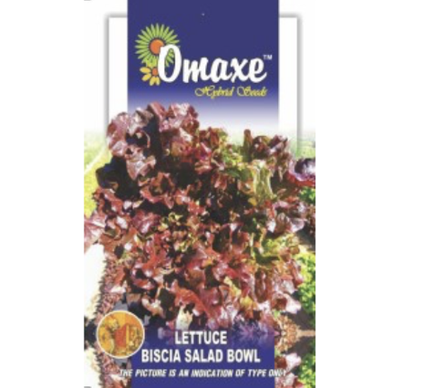 Lettuce Biscia &#8220;Salad Bowl&#8221; Hybrid Seeds by Omaxe