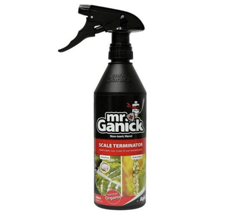 Mr. Ganick Organic &#8220;Mealybug and Scale Terminator Spray&#8221; 500ml