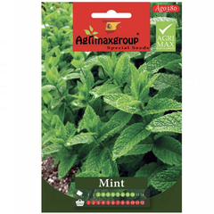 Mint Agrimax Seeds