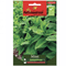 Mint Agrimax Seeds