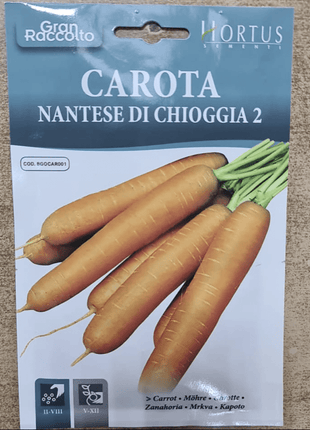 Corrot Seeds&#8221;Carota Nantese Di Chioggia 2&#8243; by Hortus