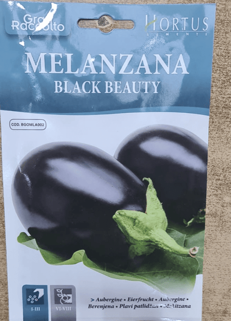 Eggplant Vegetable Seeds &#8220;Melanzana Black Beauty&#8221; by Hortus