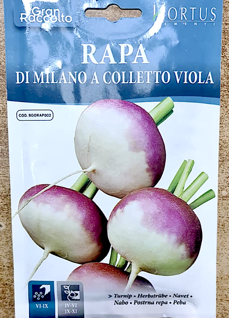 Turnip Vegetable Seeds &#8220;Rapa Di Milano A Colletto Viola&#8221; by Hortus