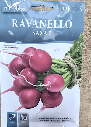 Red Radish vegetable Seeds &#8220;Ravanello Saxa 2&#8221; by Hortus