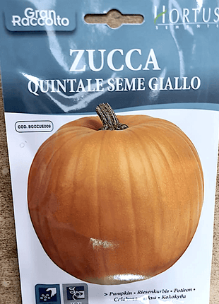 Pumpkin Vegetable Seeds &#8220;Zucca Quintale Seme Giallo&#8221; Seeds by Hortus