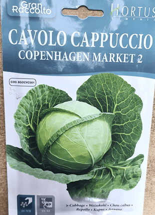 Cabbage Vegetable Seeds &#8220;Cavolo Cappuccio Copenhagen Market 2&#8221; by Hortus