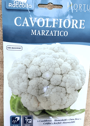 Cauliflower Vegetable Seeds &#8220;Cavolfiore Marzatico&#8221; by Hortus