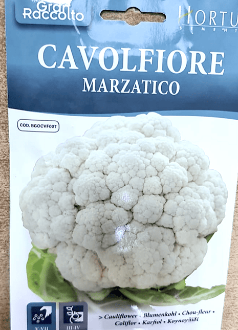 Cauliflower Vegetable Seeds &#8220;Cavolfiore Marzatico&#8221; by Hortus