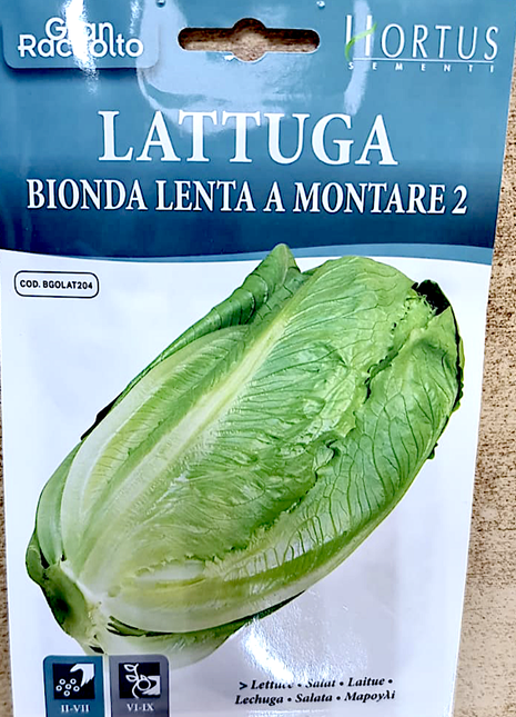 Lettuce Vegetable Herb Seeds &#8220;Bionda Lenta A Montare 2&#8221; by Hortus