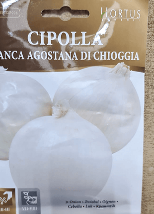 Cipolla Onion Vegetable Seeds &#8220;Bianca Agostana Di Chioggia&#8221; by Hortus