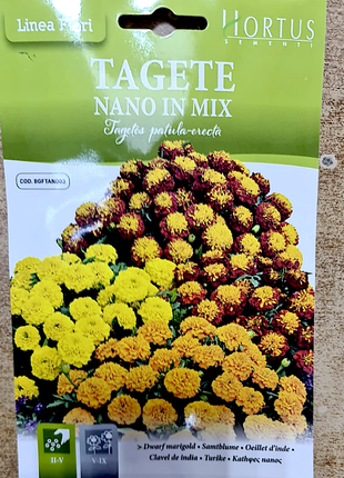 Dwarf Marigold Flower seeds &#8220;Tagete Nano in Mix&#8221; by Hortus