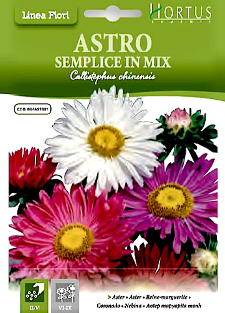 Aster Flower of Love &#8220;Astro Semplice&#8221; Hortus Seeds
