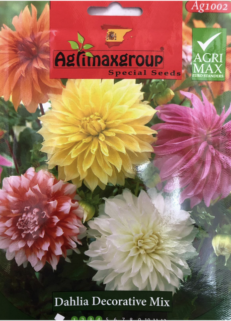 Dahlia Decorative mix Flower Seeds by Agrimax Spain