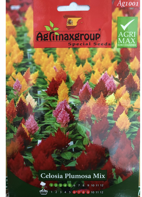Celosia Plumosa mix Flower Seeds by Agrimax Spain