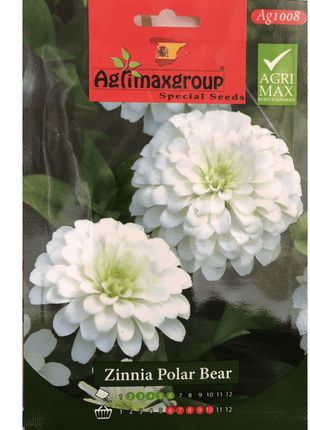 Zinnia Polar Bear Flower Seeds by Agrimax Spain