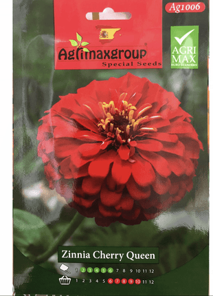 Zinnia Charry Queen Flower Seeds by Agrimax Spain