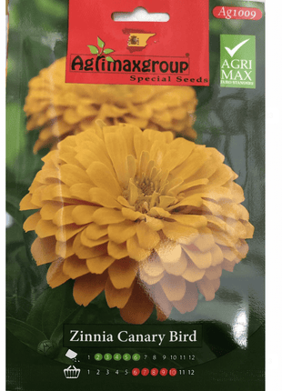 Zinnia Canary Bird Flower Seeds by Agrimax Spain