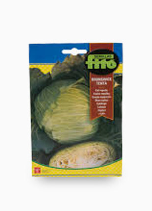 Col Repollo Brunswick-Tenta &#8211; Fito Seeds