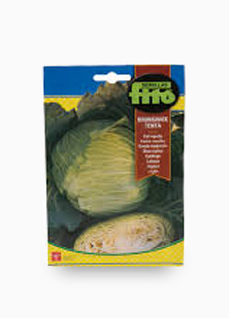 Col Repollo Brunswick-Tenta &#8211; Fito Seeds