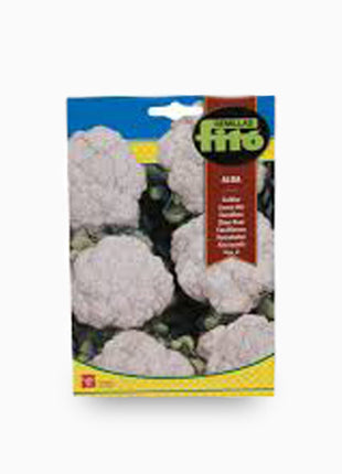 Fito Coliflor Alba (Cauliflower) &#8211; Fito Seeds