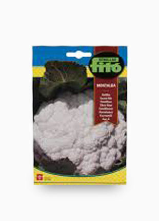 Semillas Fito Coliflor Montalba  &#8211; Fito Seeds