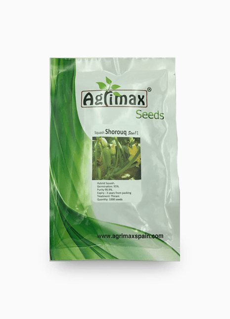 Squash seeds F1 Premium Quality Seeds