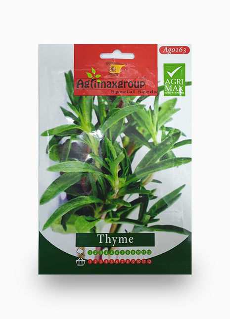 Thyme seeds