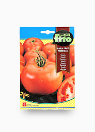 Tomato Early Pack America 3 3g