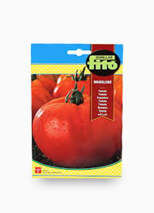 Tomato Marglobe 3g &#8211; Fito