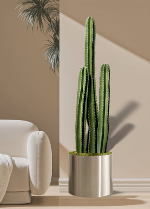 Cactus San Pedro (1.0-1.4m) in Stainless Steel Pot