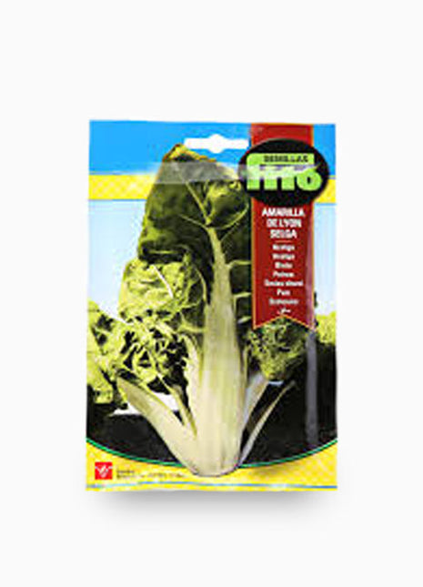 Yello Swiss-Chard fom Lyon