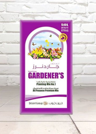 Money Plant, Epipremnum Aureum Mosstok كرمة المال in Black Ceramic Pot 100-120cm