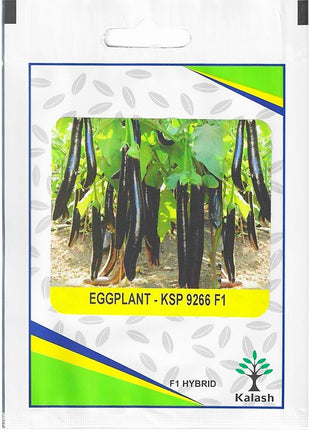 Kalash Eggplant KSP 9266 F1 Hybrid Premium Quality Seeds