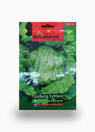 Iceberg Lettuce
