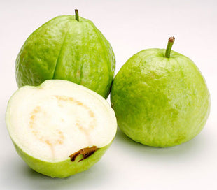Psidium Guajava