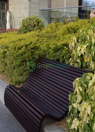 Duranta Repens, Duranta Gold or Golden Dew Drop 30-40cm