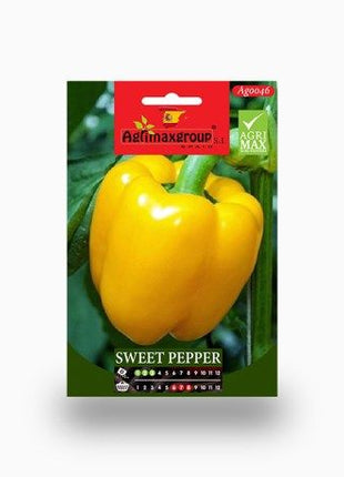 Citrus mitis or Chinese Oranges Tree"1.3m-1.5m" البرتقال الصيني