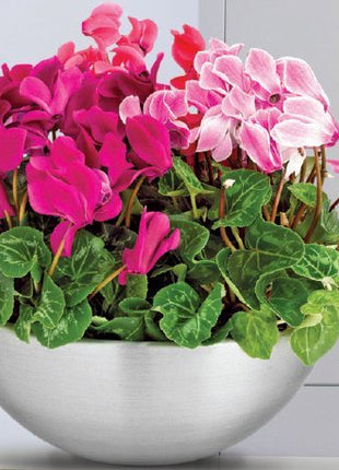 Classic &#8220;Aluminium&#8221; Bowl