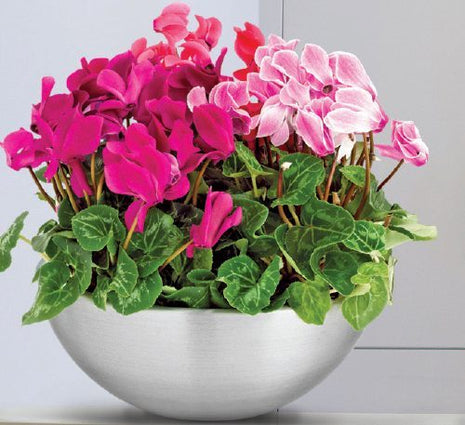 Classic &#8220;Aluminium&#8221; Bowl