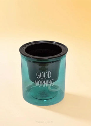 Self Watering Indoor Transparent Pot