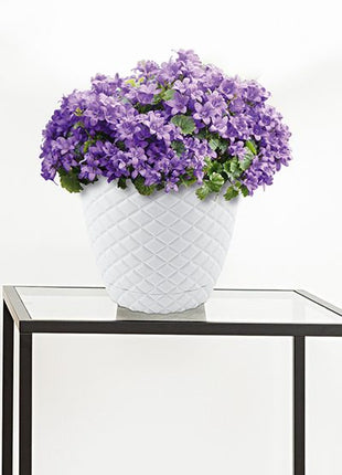Diamond Plastic Flower Pot
