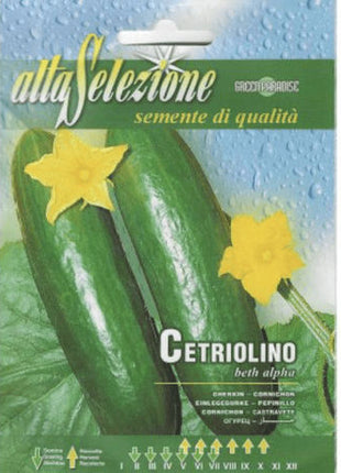 Syzygium Cumini Tree, black-plum “jamun-jambolan” شجرة جامون